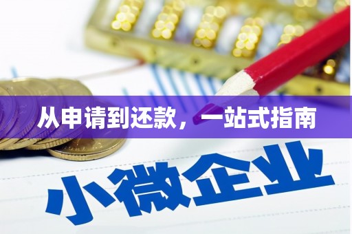 芦淞从申请到还款，一站式指南
