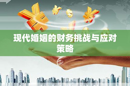 芦淞现代婚姻的财务挑战与应对策略