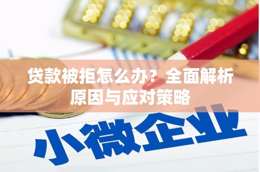 芦淞贷款被拒怎么办？全面解析原因与应对策略
