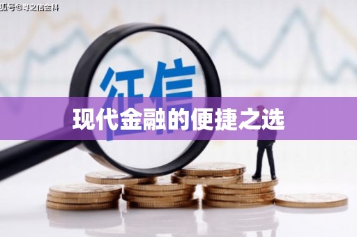 芦淞现代金融的便捷之选
