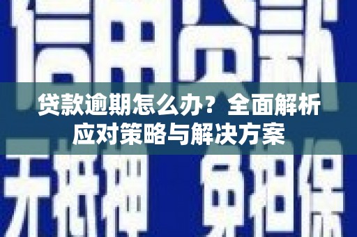 芦淞贷款逾期怎么办？全面解析应对策略与解决方案