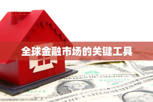 芦淞全球金融市场的关键工具