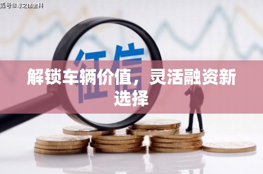 芦淞解锁车辆价值，灵活融资新选择