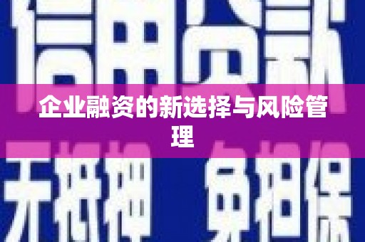 芦淞企业融资的新选择与风险管理