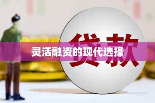 芦淞灵活融资的现代选择