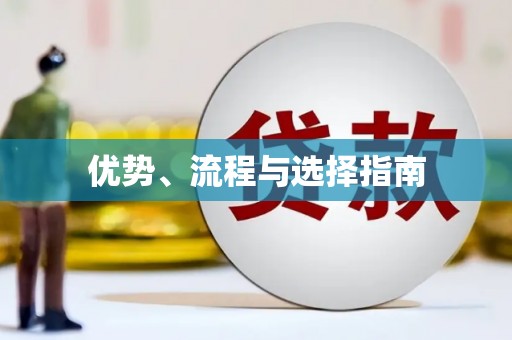 芦淞优势、流程与选择指南