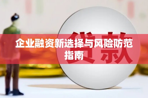 芦淞企业融资新选择与风险防范指南
