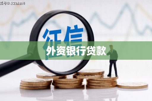 芦淞外资银行贷款