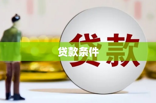 芦淞贷款条件