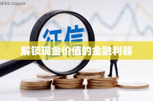 芦淞解锁现金价值的金融利器