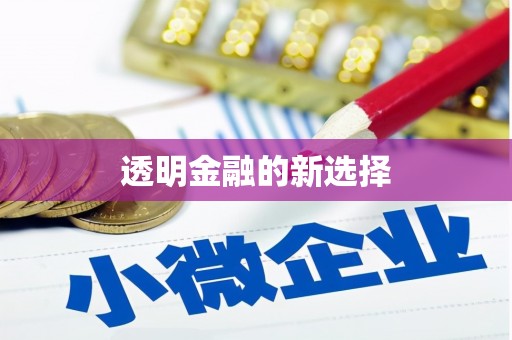 芦淞透明金融的新选择
