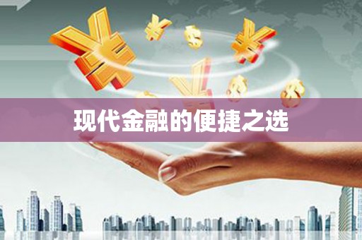 芦淞现代金融的便捷之选