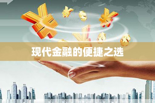 芦淞现代金融的便捷之选