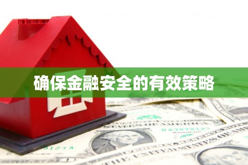 芦淞确保金融安全的有效策略