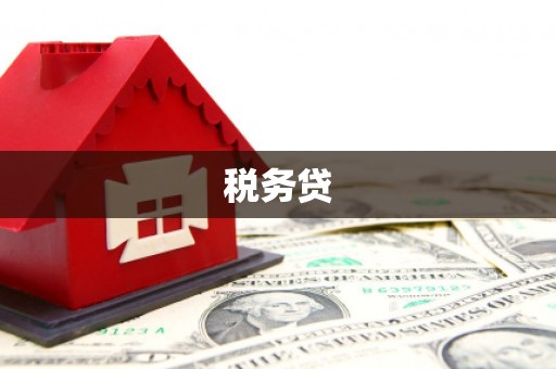 芦淞税务贷