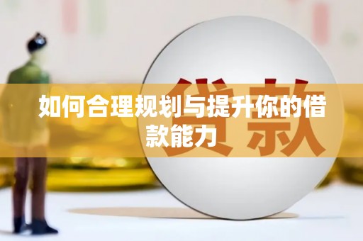芦淞如何合理规划与提升你的借款能力