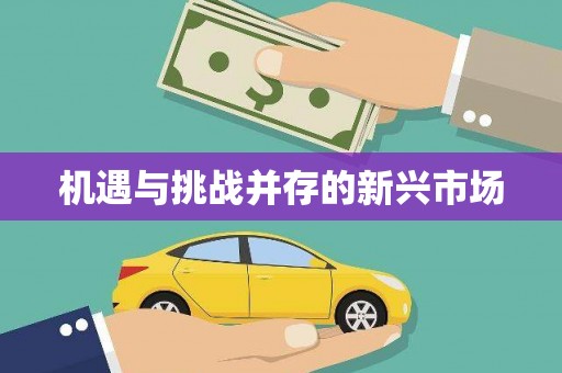 芦淞机遇与挑战并存的新兴市场