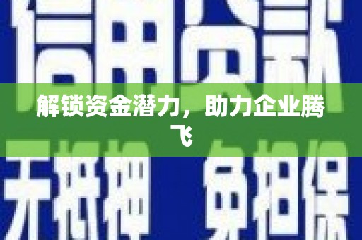 芦淞解锁资金潜力，助力企业腾飞