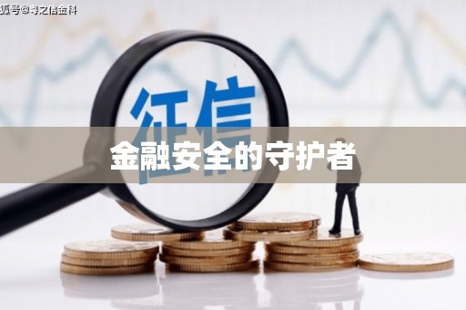 芦淞金融安全的守护者