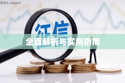芦淞全面解析与实用指南