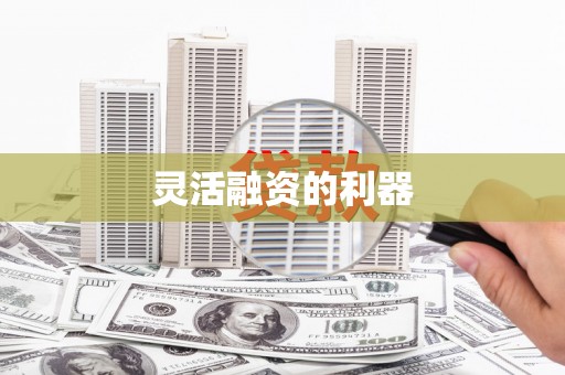 芦淞灵活融资的利器