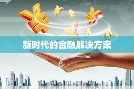 芦淞新时代的金融解决方案