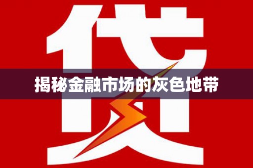 芦淞揭秘金融市场的灰色地带