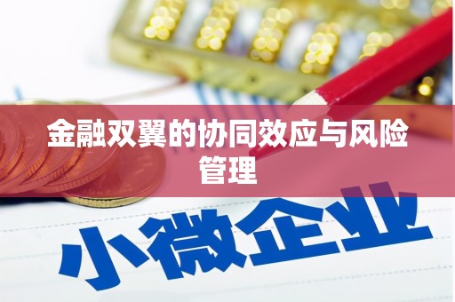 芦淞金融双翼的协同效应与风险管理