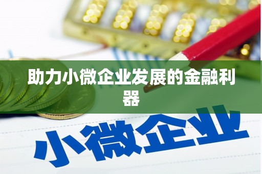 芦淞助力小微企业发展的金融利器