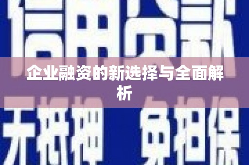 芦淞企业融资的新选择与全面解析