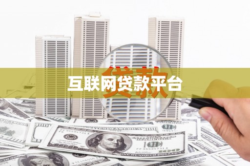 芦淞互联网贷款平台