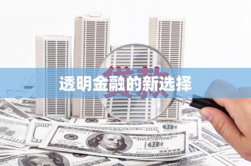 芦淞透明金融的新选择