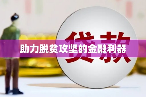芦淞助力脱贫攻坚的金融利器