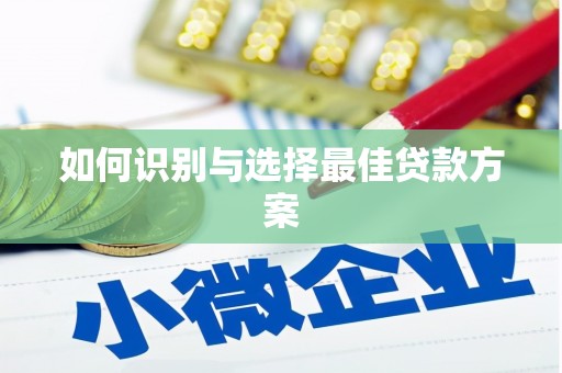 芦淞如何识别与选择最佳贷款方案