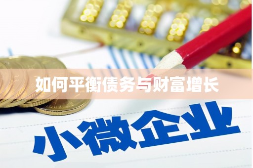 芦淞如何平衡债务与财富增长