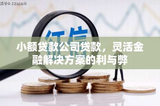 芦淞小额贷款公司贷款，灵活金融解决方案的利与弊