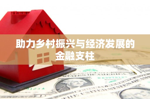 芦淞助力乡村振兴与经济发展的金融支柱