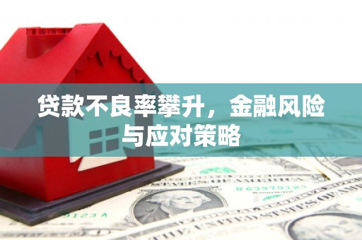 芦淞贷款不良率攀升，金融风险与应对策略
