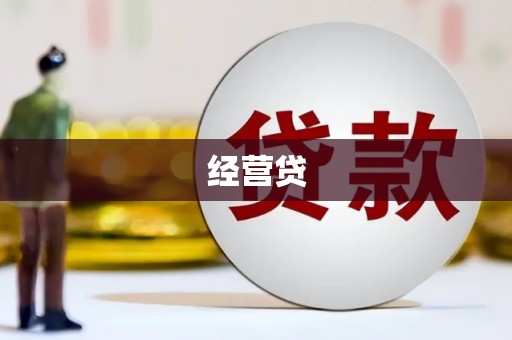 芦淞经营贷