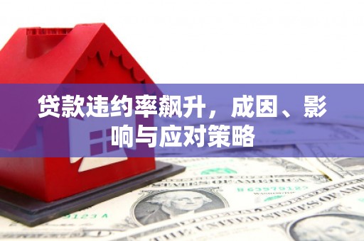 芦淞贷款违约率飙升，成因、影响与应对策略