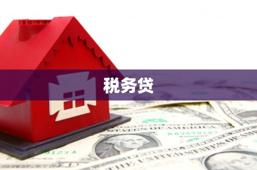 芦淞税务贷