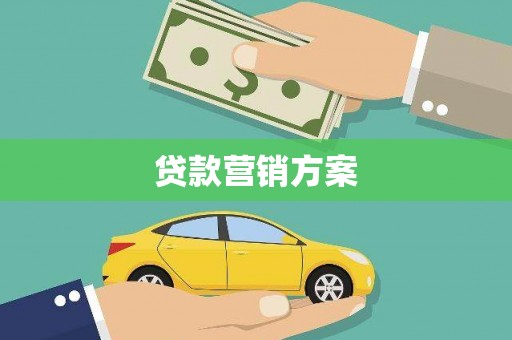 芦淞贷款营销方案
